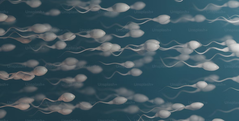Optimisez votre fertilité en 90 jours