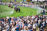 Guide des Cultures, Festivals et Fêtes en Arène